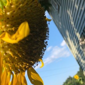 Meet your Posher, Lily